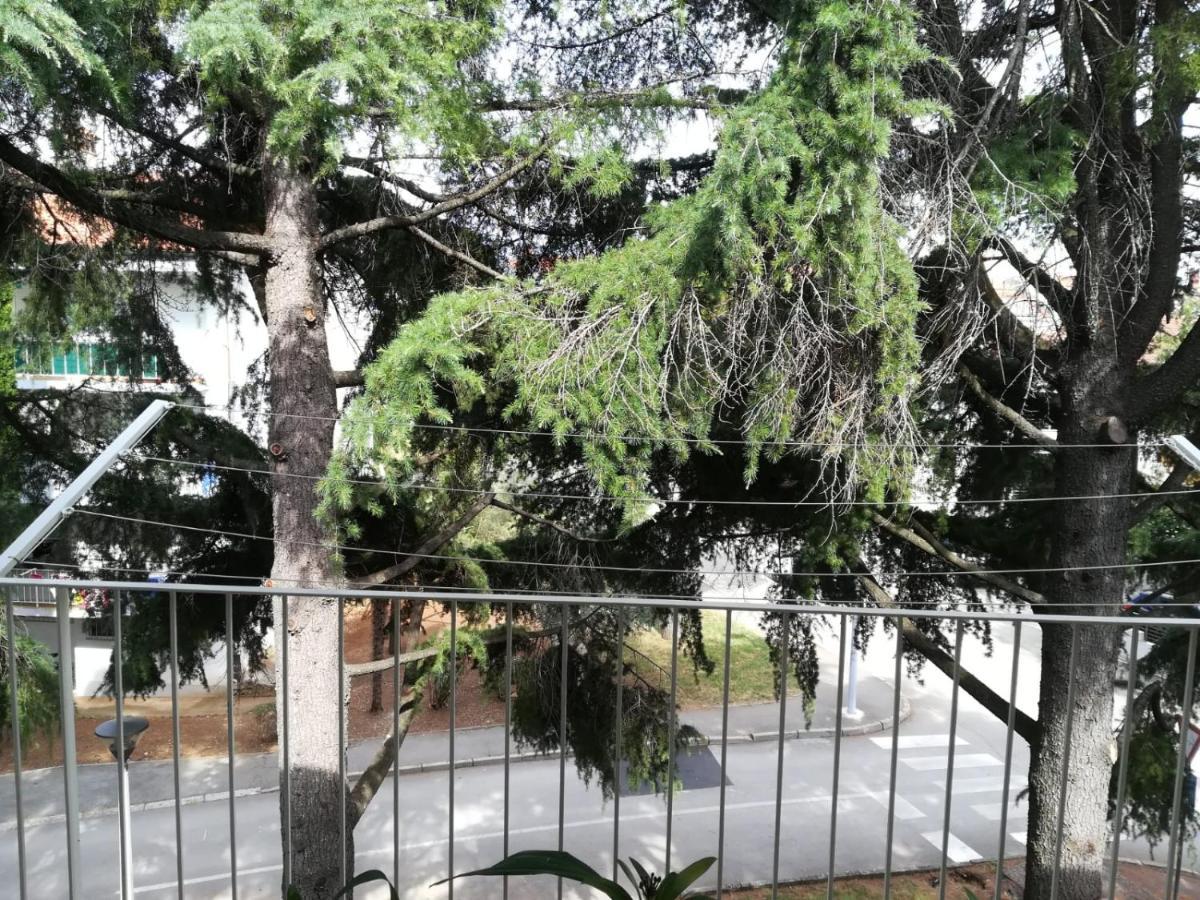 Apartmán Bono *